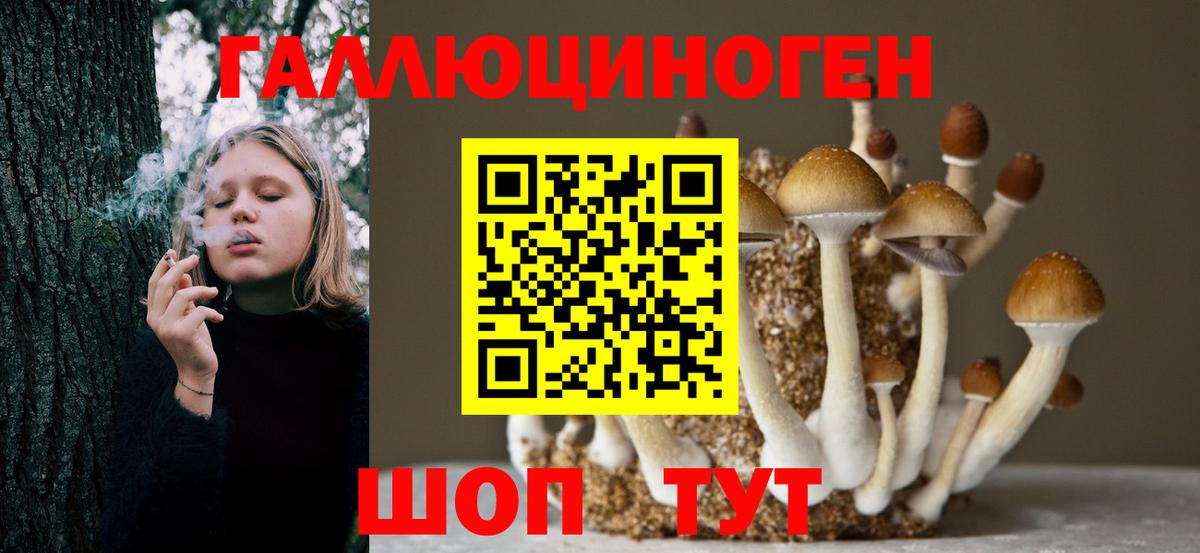 Гусиноозёрск  Псилоцибиновые грибы Magic Shrooms  купить наркотики сайты  Вход с VPN 